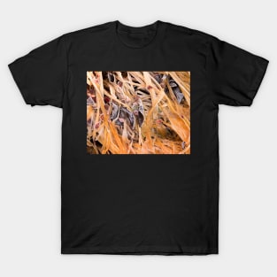 Winter Grasses T-Shirt
